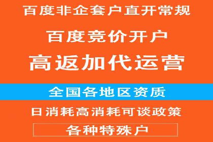 百度竞价排名服务助力旅游行业快速发展
